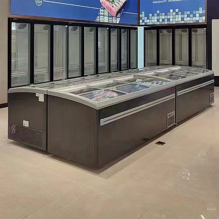 Convenience Store Ice Cream Freezer
